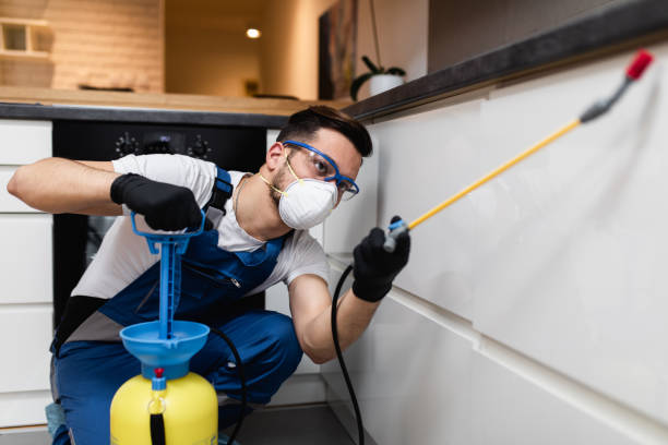 Best Mosquito Control Services  in South Brooksville, FL