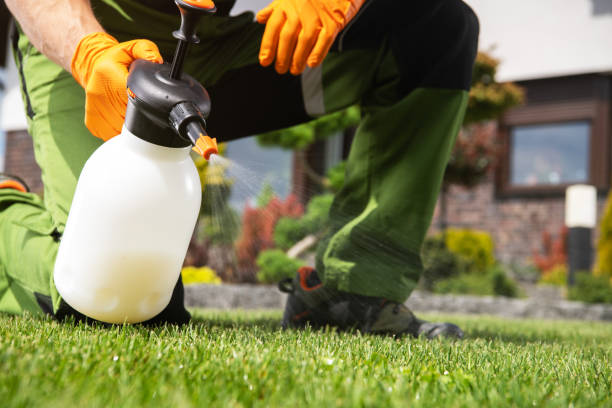 Best Pest Control for Homes  in South Brooksville, FL