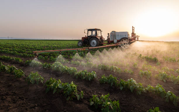 Best Commercial Pest Control Services  in South Brooksville, FL