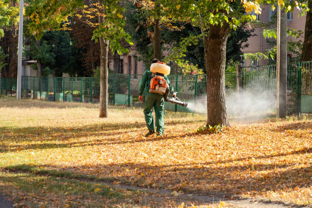 Best Insect Control  in South Brooksville, FL